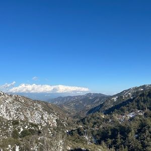 Meet your Posher, Jack